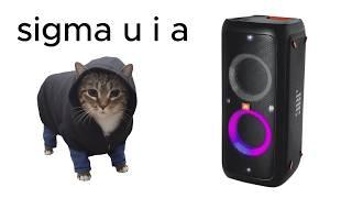 U II A IO UI A I O CAT x Sigma Boy Song