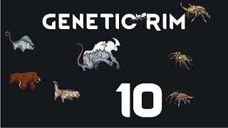 Let's Play Genetic Rim - 10 - Rimworld Royalty 1.1 Gameplay