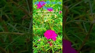 Flowers day #youtubeshorts #shortsfeed #shorts #short #viral short #SN KHAN 3722