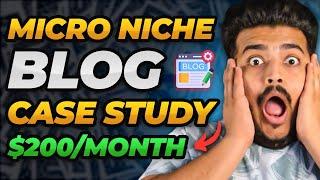 Perfect Case Study of Micro Niche Blog ( URL Shared )