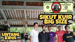 PERAKITAN KUIR BIG SIZE UNDAGI MATRE LIPI ANGAS TEAM  BY PELAYANG LIAR