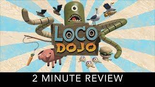 Loco Dojo - 2 Minute Review