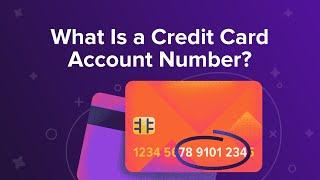 What Is a Credit Card Account Number?