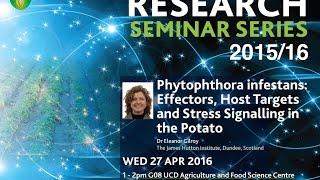 "Phytophthora infestans: Effectors, Host Targets And Stress Signalling" by Dr Eleanor Gilroy