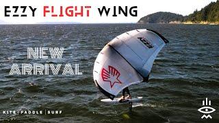 EZZY Flight Wing | First Impressions