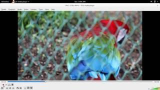 Ubuntu 19.04 18.04 Linux How to Cut Video Clips using VLC Media Player