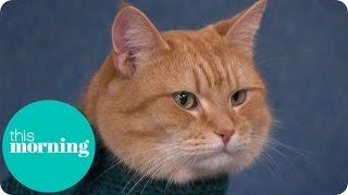 Holly And Ben Meet The Real Street Cat Named Bob | This Morning