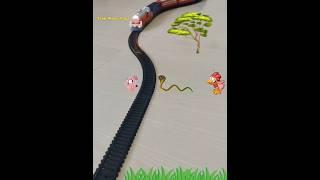 Snake  is following Chicken and the train is approaching fast | Snake Stories