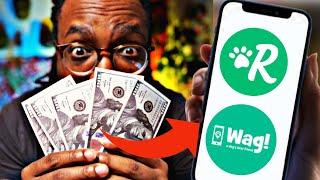 How To EARN $5000 A MONTH Dog Walking - The ROVER & WAG App