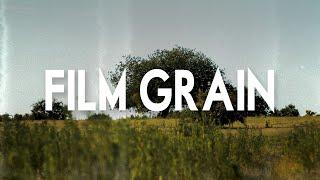 Real Film Grain Overlay (for Free)