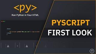 Python In The Browser! PyScript First Look