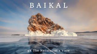 Baikal 4K - Scenic Wildlife Film With Relaxing Music