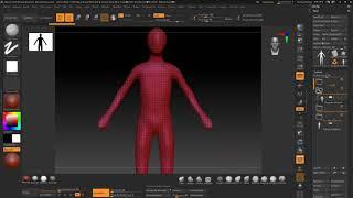 Starting simple in anatomy   ZBrush Anatomy and Character Creation Course
