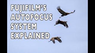 The Fujifilm X-Series Autofocus System Explained