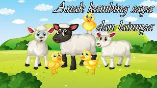 Anak kambing saya dan Lainnya | Lagu anak | Lagu anak populer