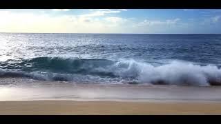 Relaxing with Ocean Waves | Stress Relief | Wave Sounds | Nature Sounds Relaxation Meditation