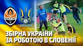 Open training session of the national team of Ukraine in Slovenia