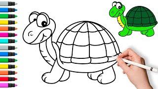 How to draw a turtle  Painting and Coloring for Kids & Toddlers