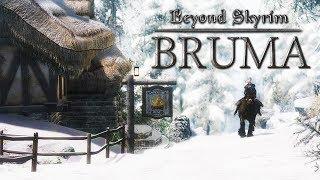 The College of Whispers - Beyond Skyrim: Bruma - Part 2