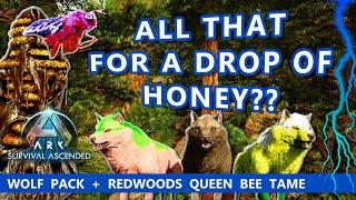 Redwoods Queen Bee Search and Beginning Our Wolf Pack! - Finding Beehives is Hard! - Ark Episode 3