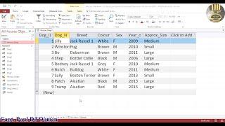 How to Update Records Using SQL in Microsoft Access