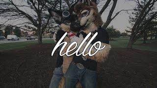 "Hello" (A Furry Story)