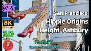 VR Tour San Francsico Hippie Origins Heaven - Height Asbury - Virtual City Trip -8K 3D 360 VR Video