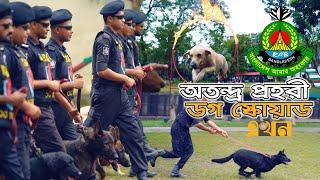 যেভাবে প্রশিক্ষণ পায় র‌্যাবের ডগ স্কোয়াডের কুকুর | RAB Dog Squad | Ekhon TV