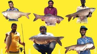 Fishing trailer | Giant monster carp fishing experts hook stars journey..!!