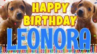 Happy Birthday Leonora! ( Funny Talking Dogs ) What Is Free On My Birthday