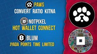 PAWS Points Convert Ratio | NOTPIXEL Hot Wallet Connect | BLUM Jyada Points #paws #notpixel #blum