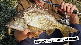 How to Catch Bream with Crank Lures !!