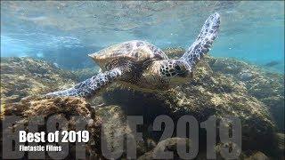 Best of Fintastic Films | 2019