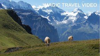 Grindelwald - Männlichen - Kleine Scheidegg - Panorama Trail