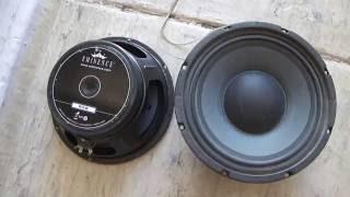 How Work  Eminence Delta-10A 10 inch Midrange Midbass  Speakers USA