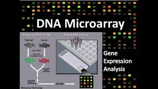 DNA Microarray - Gene Expression Analysis