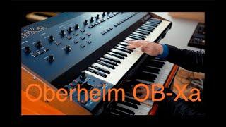 Oberheim OB Xa 80's mega synth!