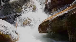 CHAMPNEY BROOK Naturalist Scenic Video by Douglas K. Poor dd-TV.com Raging Spring Brook ice forms