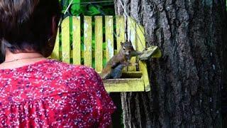 Nancy Rose and The Secret Life of Squirrels