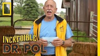 Yes Dear - Season 2, Episode 4 | Coffee Break With Dr. Pol