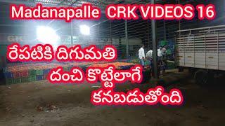 28/12/24 Madanapalle Tomato stock  మదనపల్లె టమాటా రేట్లు #crkvideos16 #tomatoprices