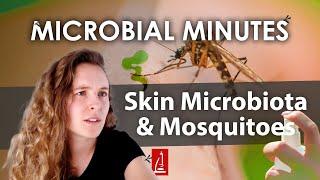 Altering Skin Microbiota to Repel Mosquitoes - Microbial Minutes