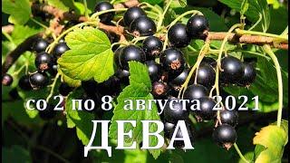 ДЕВА Со 2 ПО 8 АВГУСТА 2021. ТАРО ПРОГНОЗ. РАБОТА ДЕНЬГИ ЛЮБОВЬ ЗДОРОВЬЕ.  РАСКЛАД НА НЕДЕЛЮ.