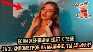 Если дама сама едет к тебе  на машине за 20 километров ты альфач?