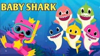 Baby shark dance | songs for kids