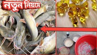 Fish Tangra Bait | Tengra and Jeol fishing in the river is 100% guarantee medicine