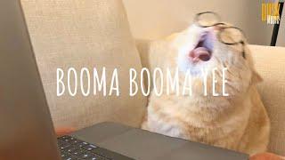 BOOMA BOOMA YEE - DJ IMUT REMIX // (Vietsub + Lyric) Tik Tok Song