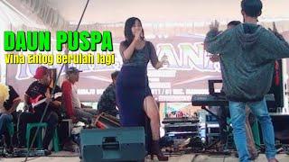 DAUN PUSPA - VINA ENTOG BERGOYANG | MUSTIKA NADA ENTERTAINMENT #vinaentog #pongdut #goyang