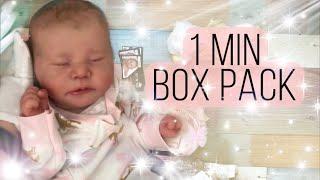 1 Min Box Pack: Chase Brown Reborn Baby Doll - Reborn, Sweet