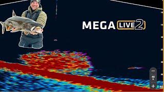 MEGA LIVE 2 ON ICE!!!